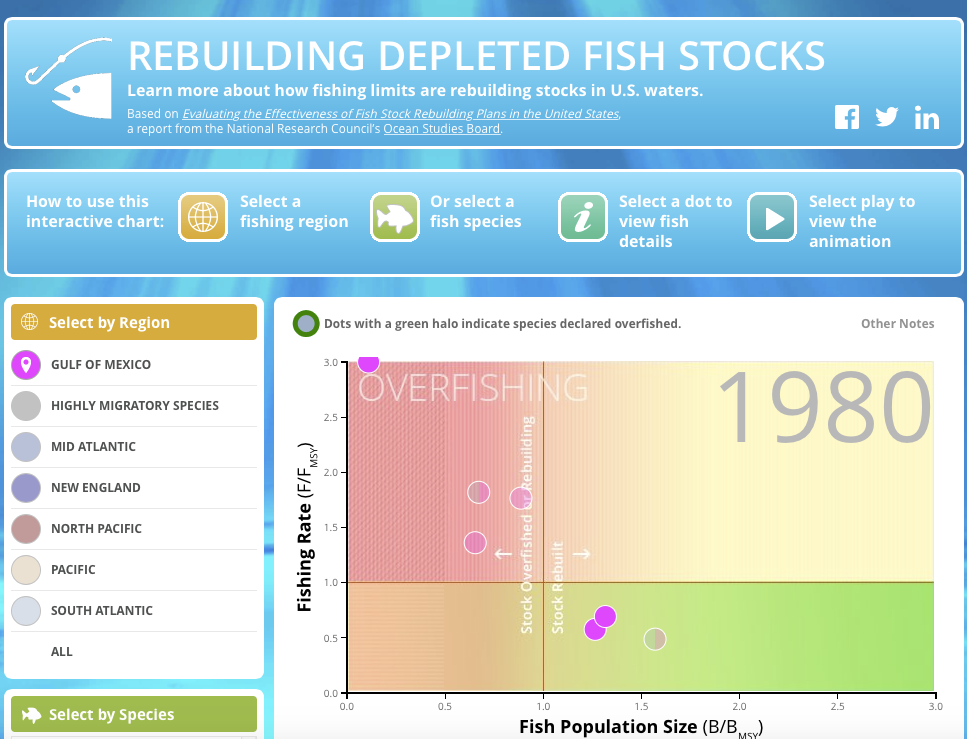 fisheries_visualization